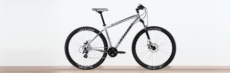 Mountain Bikes in San Francisco